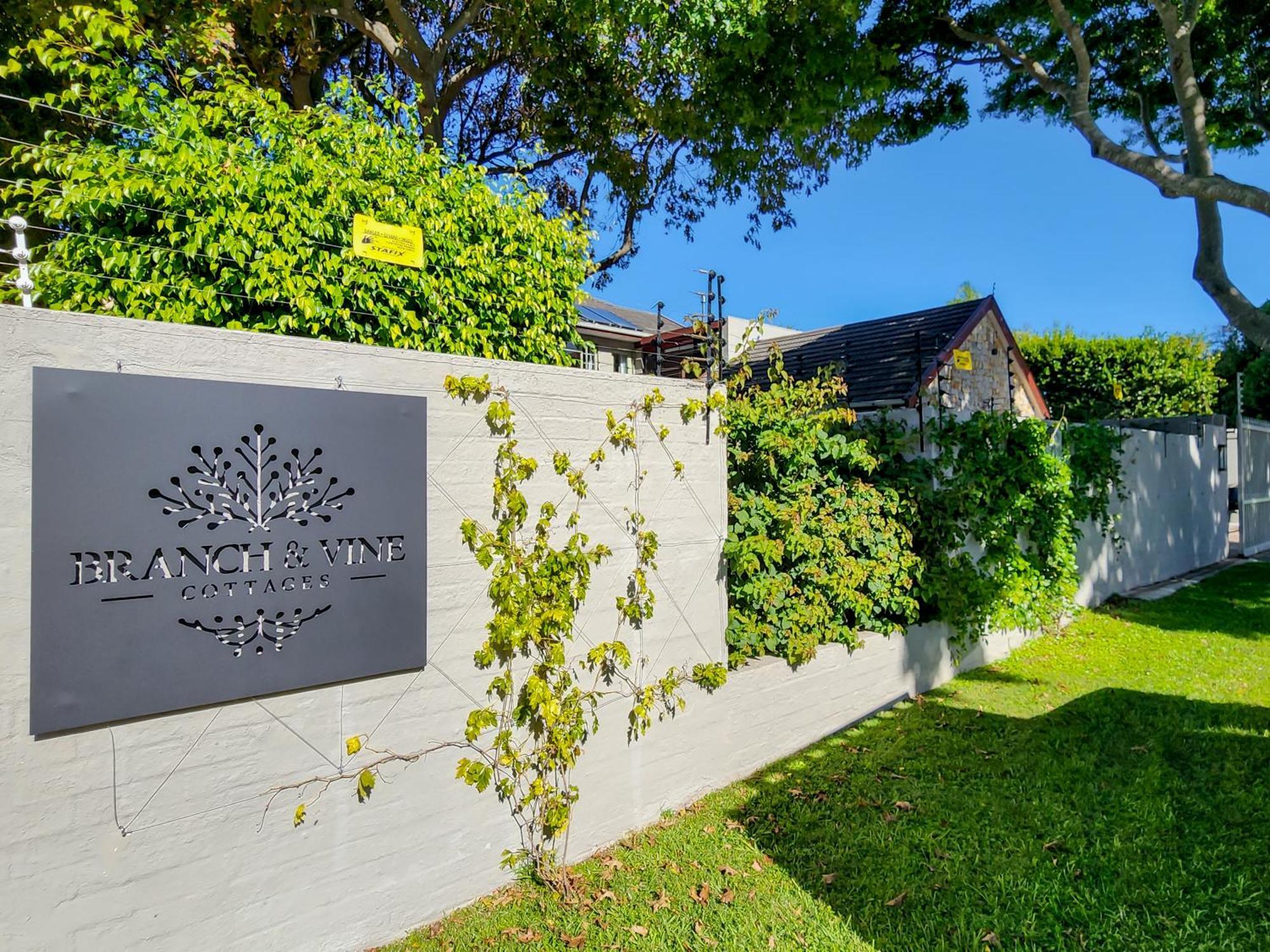 Branch & Vine Cottages - Constantia - Formerly Pinoak Cottages Cidade Do Cabo Exterior foto
